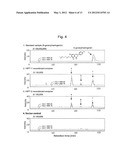 PROTEIN HAVING NOVEL PRENYLTRANSFERASE ACTIVITY AND GENE ENCODING THE SAME diagram and image