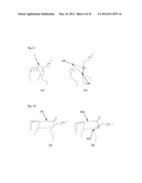 BEVERAGE CONTAINER WITH A PROTRUSION, AND SEPARABLE PROTRUSION DEVICE FOR     SAME diagram and image