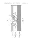 NANOWIRE SENSOR WITH ANGLED SEGMENTS THAT ARE DIFFERENTLY FUNCTIONALIZED diagram and image