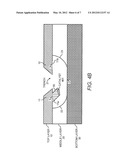 NANOWIRE SENSOR WITH ANGLED SEGMENTS THAT ARE DIFFERENTLY FUNCTIONALIZED diagram and image