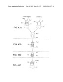 NAIL PRINT APPARATUS AND PRINT CONTROLLING METHOD diagram and image