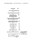 Method and apparatus for processing image representative data diagram and image