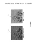 Image Contrast Enhancement diagram and image
