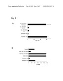 CD4+CD25- T CELLS AND TR1-LIKE REGULATORY T CELLS diagram and image