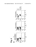 CD4+CD25- T CELLS AND TR1-LIKE REGULATORY T CELLS diagram and image