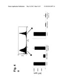 CD4+CD25- T CELLS AND TR1-LIKE REGULATORY T CELLS diagram and image