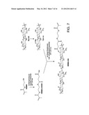 HYDROLYTICALLY DEGRADABLE POLYSACCHARIDE HYDROGELS diagram and image