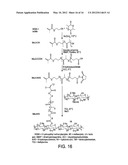 HYDROLYTICALLY DEGRADABLE POLYSACCHARIDE HYDROGELS diagram and image