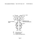 LYOPHILIZED FORMULATIONS FOR SMALL MODULAR IMMUNOPHARMACEUTICALS diagram and image