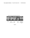 LYOPHILIZED FORMULATIONS FOR SMALL MODULAR IMMUNOPHARMACEUTICALS diagram and image