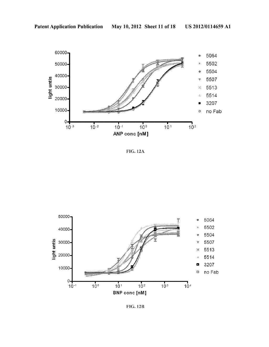 Antibodies for Guanylyl Cyclase Receptors - diagram, schematic, and image 12