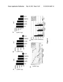 TUBERCULOSIS VACCINES COMPRISING ANTIGENS EXPRESSED DURING THE LATENT     INFECTION PHASE diagram and image