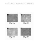 SOLID-STATE METHOD FOR PRODUCING FUNCTIONALIZED CALCIUM PHOSPHATE HYBRID     ORGANIC/INORGANIC CHEMICAL SYSTEMS FOR DENTAL REMINERALIZATION     APPLICATIONS diagram and image