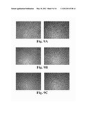 SOLID-STATE METHOD FOR PRODUCING FUNCTIONALIZED CALCIUM PHOSPHATE HYBRID     ORGANIC/INORGANIC CHEMICAL SYSTEMS FOR DENTAL REMINERALIZATION     APPLICATIONS diagram and image