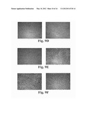 SOLID-STATE METHOD FOR PRODUCING FUNCTIONALIZED CALCIUM PHOSPHATE HYBRID     ORGANIC/INORGANIC CHEMICAL SYSTEMS FOR DENTAL REMINERALIZATION     APPLICATIONS diagram and image