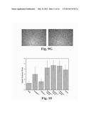 SOLID-STATE METHOD FOR PRODUCING FUNCTIONALIZED CALCIUM PHOSPHATE HYBRID     ORGANIC/INORGANIC CHEMICAL SYSTEMS FOR DENTAL REMINERALIZATION     APPLICATIONS diagram and image