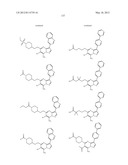 PYRAZOLO[1,5-a]PYRIMIDINE DERIVATIVES AS mTOR INHIBITORS diagram and image