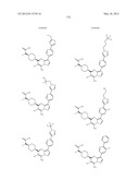 PYRAZOLO[1,5-a]PYRIMIDINE DERIVATIVES AS mTOR INHIBITORS diagram and image