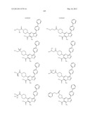 PYRAZOLO[1,5-a]PYRIMIDINE DERIVATIVES AS mTOR INHIBITORS diagram and image