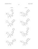 PYRAZOLO[1,5-a]PYRIMIDINE DERIVATIVES AS mTOR INHIBITORS diagram and image