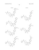 PYRAZOLO[1,5-a]PYRIMIDINE DERIVATIVES AS mTOR INHIBITORS diagram and image