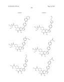 PYRAZOLO[1,5-a]PYRIMIDINE DERIVATIVES AS mTOR INHIBITORS diagram and image