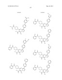 PYRAZOLO[1,5-a]PYRIMIDINE DERIVATIVES AS mTOR INHIBITORS diagram and image