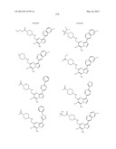 PYRAZOLO[1,5-a]PYRIMIDINE DERIVATIVES AS mTOR INHIBITORS diagram and image