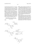 PYRAZOLO[1,5-a]PYRIMIDINE DERIVATIVES AS mTOR INHIBITORS diagram and image