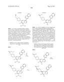 PYRAZOLO[1,5-a]PYRIMIDINE DERIVATIVES AS mTOR INHIBITORS diagram and image