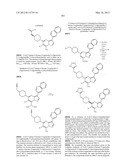 PYRAZOLO[1,5-a]PYRIMIDINE DERIVATIVES AS mTOR INHIBITORS diagram and image