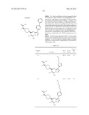 PYRAZOLO[1,5-a]PYRIMIDINE DERIVATIVES AS mTOR INHIBITORS diagram and image