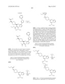 PYRAZOLO[1,5-a]PYRIMIDINE DERIVATIVES AS mTOR INHIBITORS diagram and image