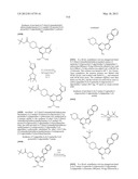 PYRAZOLO[1,5-a]PYRIMIDINE DERIVATIVES AS mTOR INHIBITORS diagram and image