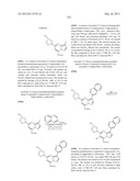 PYRAZOLO[1,5-a]PYRIMIDINE DERIVATIVES AS mTOR INHIBITORS diagram and image