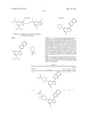 PYRAZOLO[1,5-a]PYRIMIDINE DERIVATIVES AS mTOR INHIBITORS diagram and image