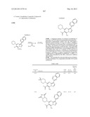 PYRAZOLO[1,5-a]PYRIMIDINE DERIVATIVES AS mTOR INHIBITORS diagram and image