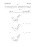 PYRAZOLO[1,5-a]PYRIMIDINE DERIVATIVES AS mTOR INHIBITORS diagram and image