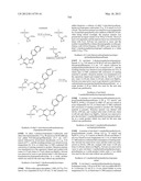 PYRAZOLO[1,5-a]PYRIMIDINE DERIVATIVES AS mTOR INHIBITORS diagram and image