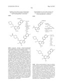 PYRAZOLO[1,5-a]PYRIMIDINE DERIVATIVES AS mTOR INHIBITORS diagram and image