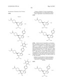 PYRAZOLO[1,5-a]PYRIMIDINE DERIVATIVES AS mTOR INHIBITORS diagram and image