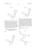 PYRAZOLO[1,5-a]PYRIMIDINE DERIVATIVES AS mTOR INHIBITORS diagram and image