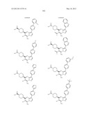 PYRAZOLO[1,5-a]PYRIMIDINE DERIVATIVES AS mTOR INHIBITORS diagram and image