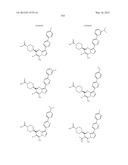 PYRAZOLO[1,5-a]PYRIMIDINE DERIVATIVES AS mTOR INHIBITORS diagram and image