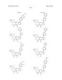 PYRAZOLO[1,5-a]PYRIMIDINE DERIVATIVES AS mTOR INHIBITORS diagram and image