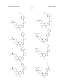 PYRAZOLO[1,5-a]PYRIMIDINE DERIVATIVES AS mTOR INHIBITORS diagram and image