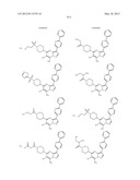 PYRAZOLO[1,5-a]PYRIMIDINE DERIVATIVES AS mTOR INHIBITORS diagram and image