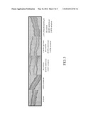 METHOD FOR TREATING OR AMELIORATING MUCOCUTANEOUS OR OCULAR TOXICITIES diagram and image