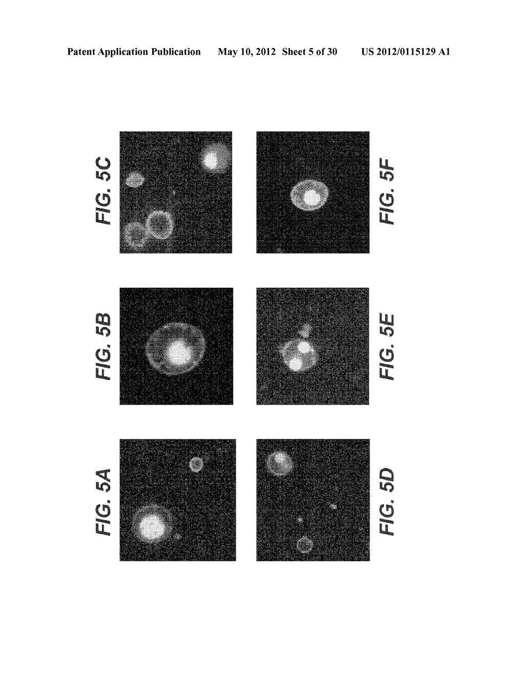 ENZYME SUBSTRATE COMPRISING A FUNCTIONAL DYE AND ASSOCIATED TECHNOLOGY AND     METHODS - diagram, schematic, and image 06