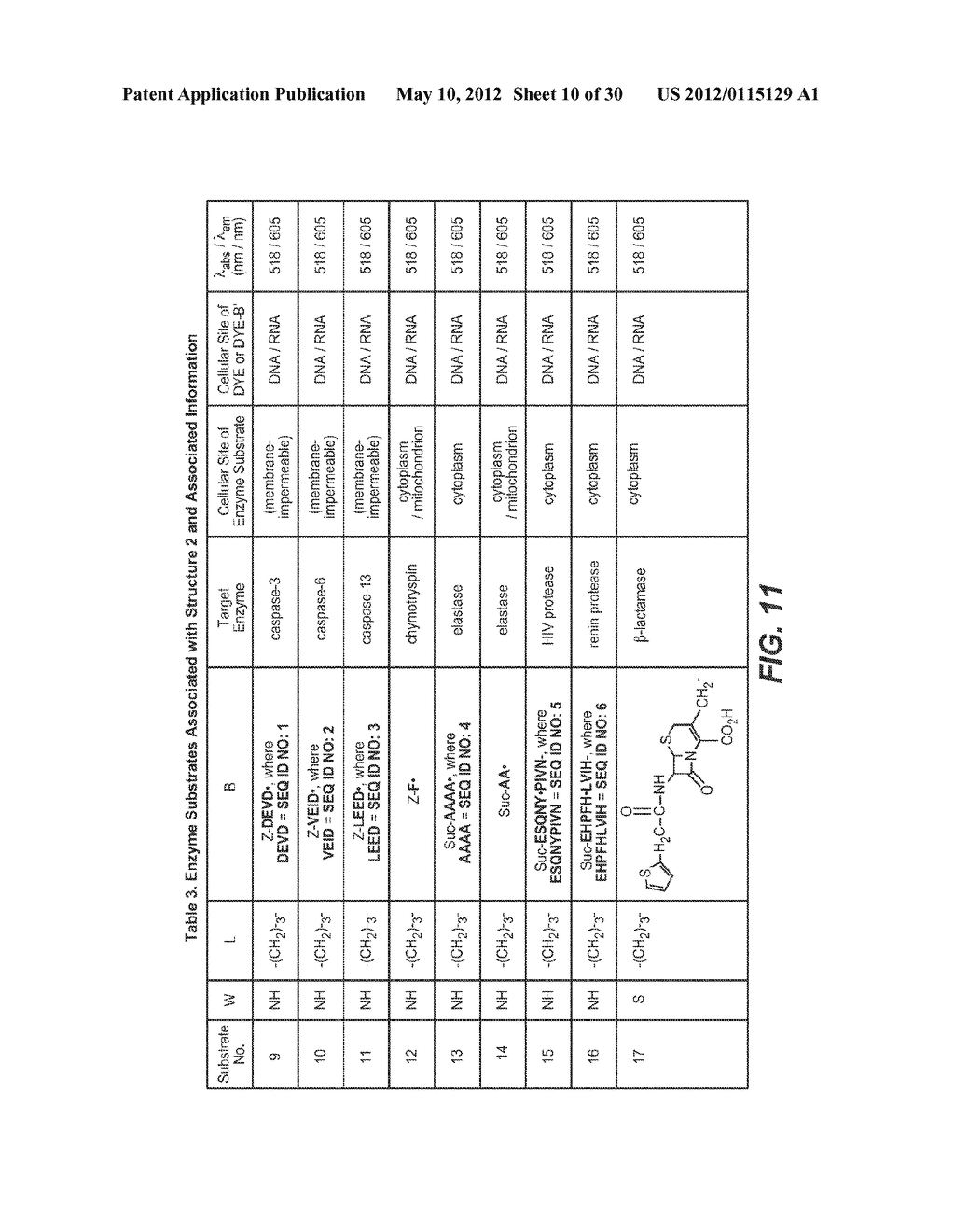 ENZYME SUBSTRATE COMPRISING A FUNCTIONAL DYE AND ASSOCIATED TECHNOLOGY AND     METHODS - diagram, schematic, and image 11